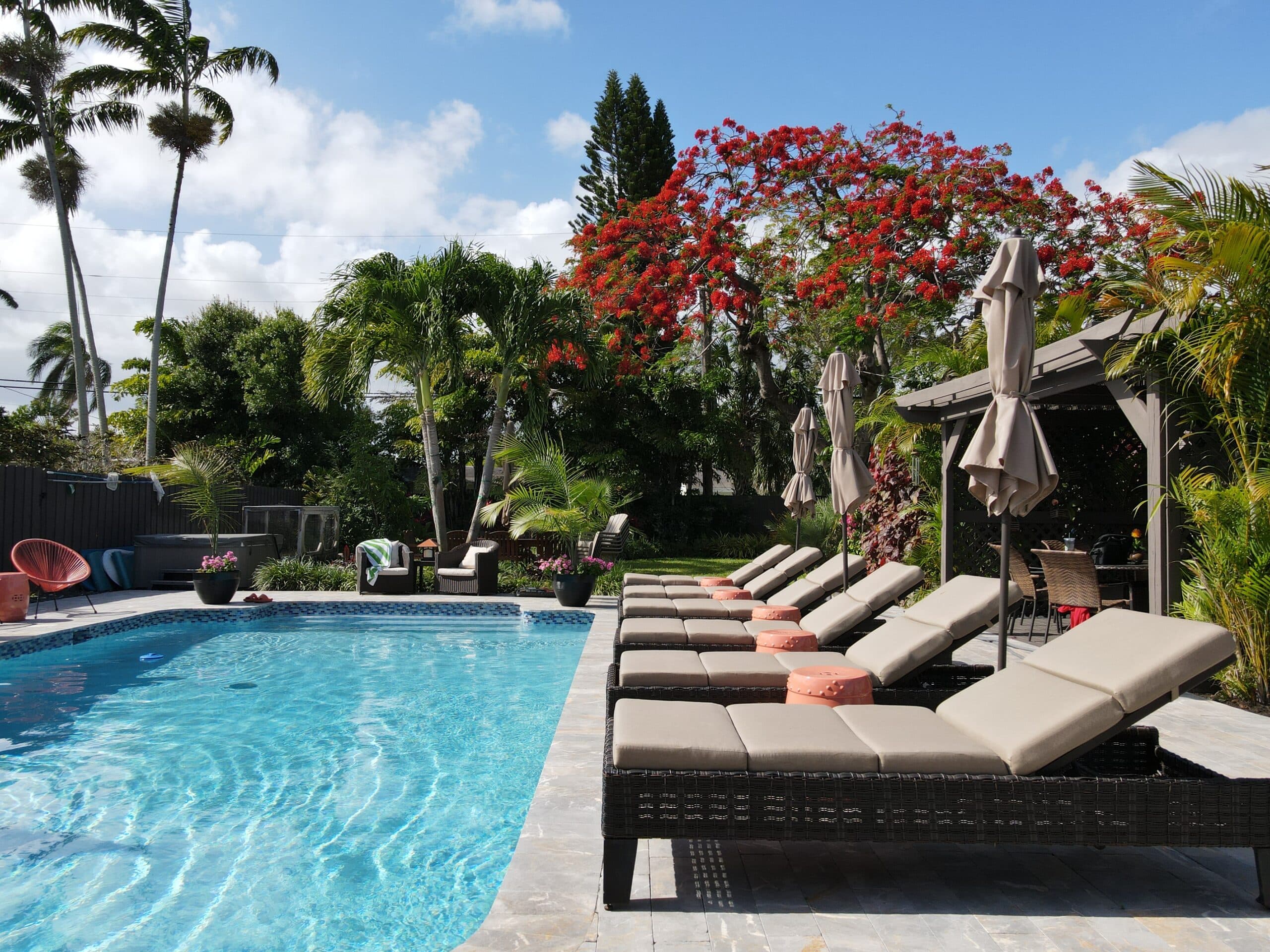 Pool and tropical grounds at Solstice at Wilton